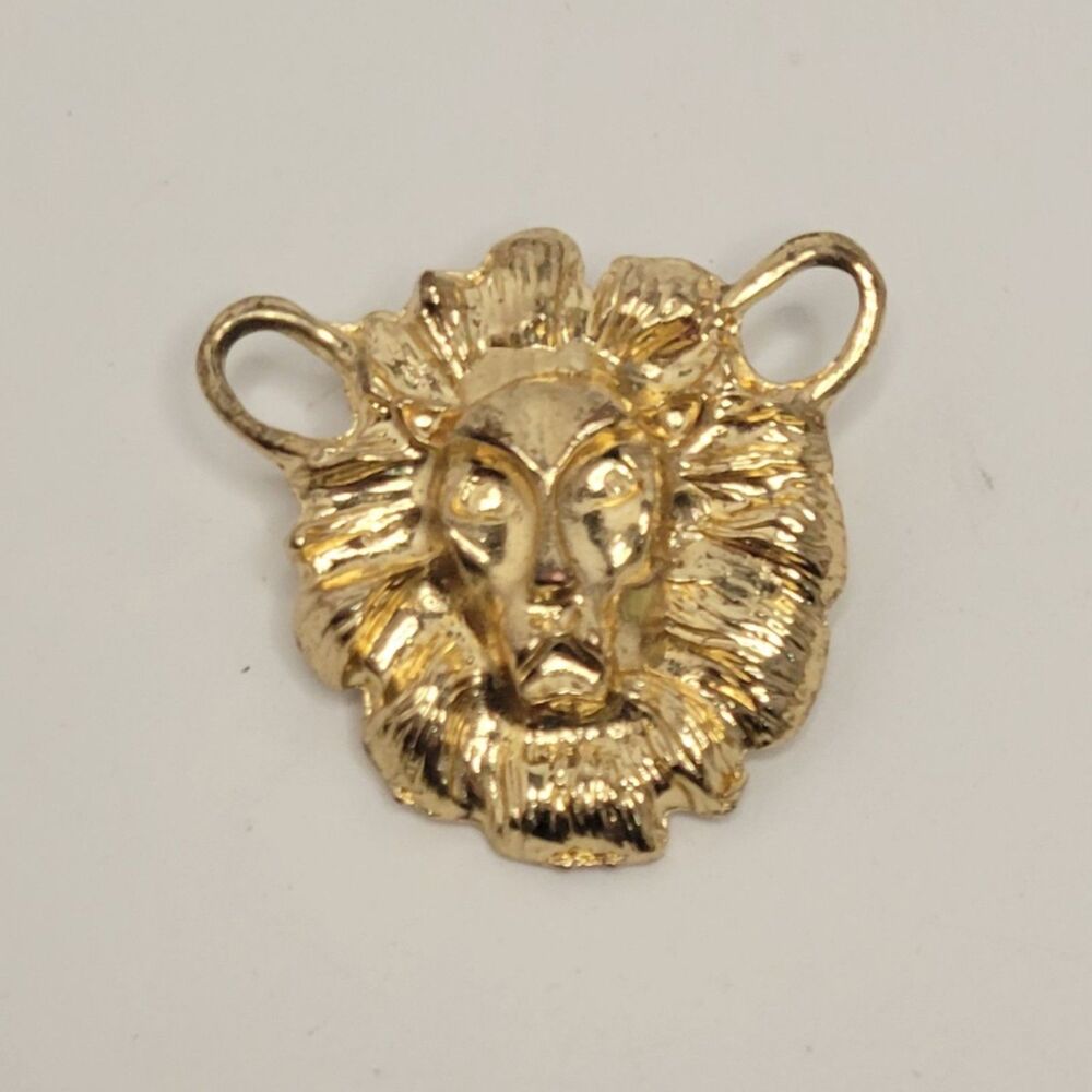 ▪︎Lion Brooch